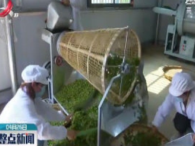 李梅岭生态林场：“扶贫茶” 助力贫困户脱贫增收