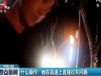 井岗山：什么操作？她在高速上直接拦车问路
