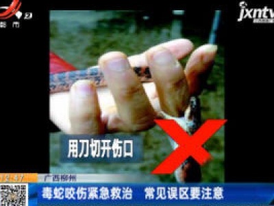 广西柳州：蛇出没进入活跃期 踏青赏花需警惕