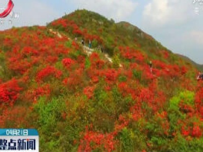 整点新闻20200421 14:00