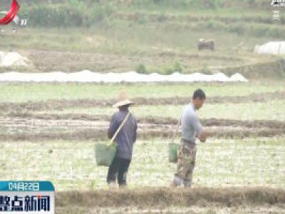 新余：翻耕农田发放补贴