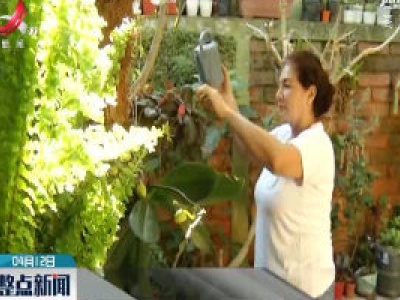 萨尔瓦多居民自己种果蔬 防疫 “一举多得”