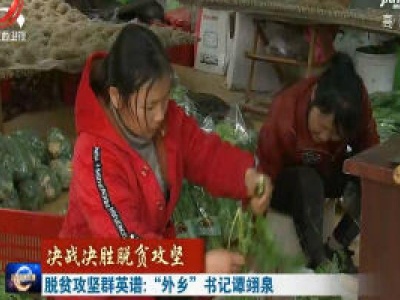【决战决胜脱贫攻坚】脱贫攻坚群英谱：“外乡”书记谭翊泉