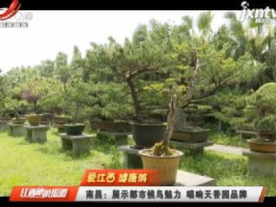 江西旅游报道20200429