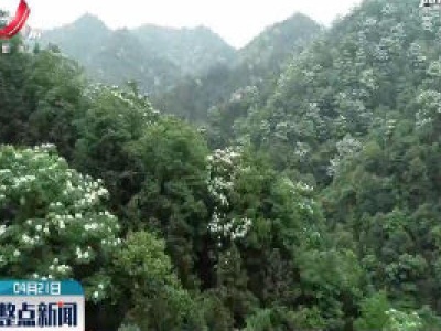 整点新闻20200421 10:00