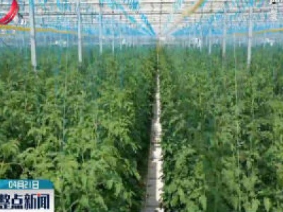江西：设施农业让蔬菜种植更高效