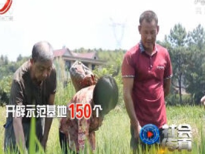 社会传真20200420 白首不渝散余热