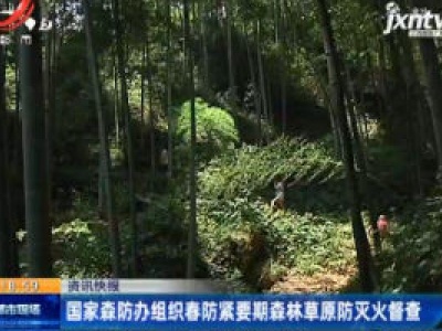 国家森防办组织春防紧要期森林草原防灭火督查