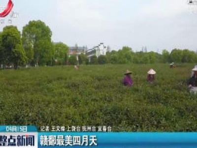 赣鄱最美四月天