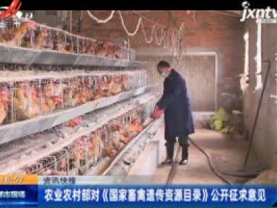 农业农村部对《国家畜禽遗传资源目录》公开征求意见