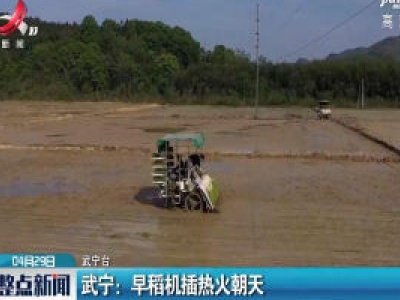 武宁：早稻机插热火朝天