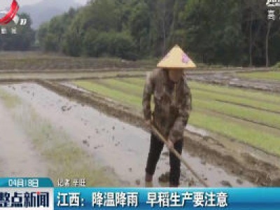 江西：降温降雨 早稻生产要注意