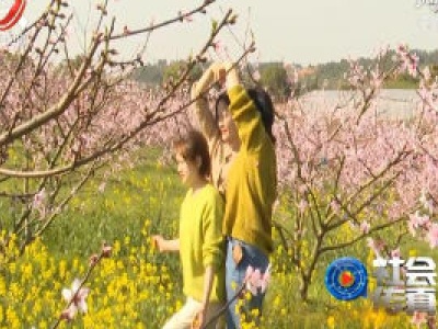 社会传真20200416 相约春天