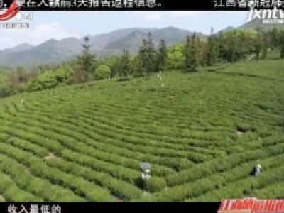 江西旅游报道20200415