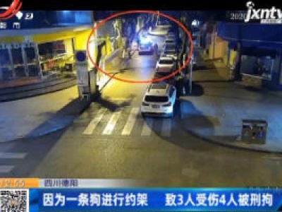 四川德阳：因为一条狗进行约架 致3人受伤4人被刑拘