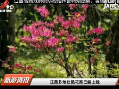 江西旅游报道20200417