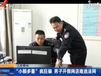 江苏泰州：“小额多量”疯狂骗 男子开假网店难逃法网