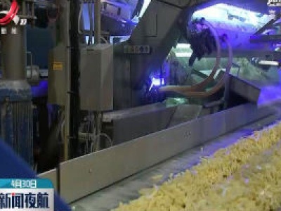 土豆滞销 比利时呼吁民众多吃薯条