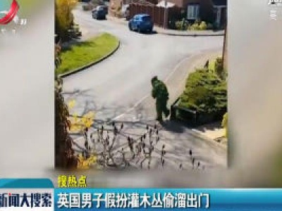 英国男子假扮灌木丛偷溜出门