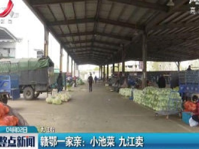 赣鄂一家亲：小池菜 九江卖