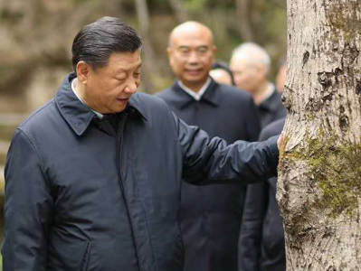 陕西行首站考察秦岭 习近平要求做好这个“卫士”