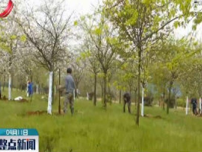 整点新闻20200411 10:00