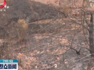 铅山：森林公安迅速侦破一起山火案件