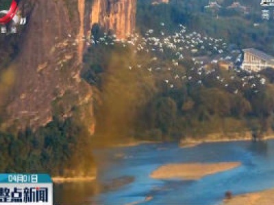 江西20万张旅游电子消费券等你免费申领