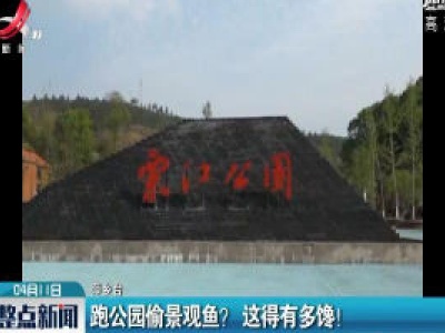 萍乡：跑公园偷景观鱼？ 这得有多馋！