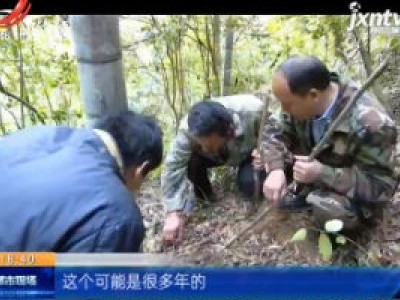 宜春宜丰：护航“大熊猫重引入”实验 村民自发清山清套