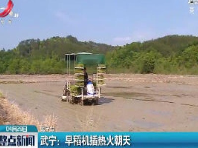 武宁：早稻机插热火朝天