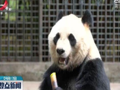 整点新闻20200417 10:00