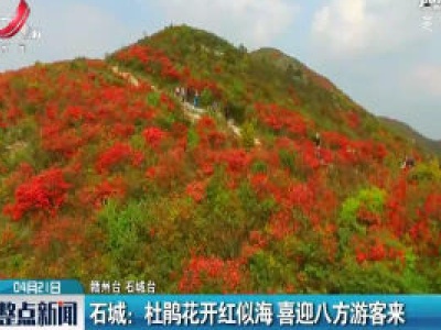 整点新闻20200421 12:00