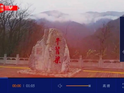 习近平陕西行丨首站探访牛背梁国家级自然保护区