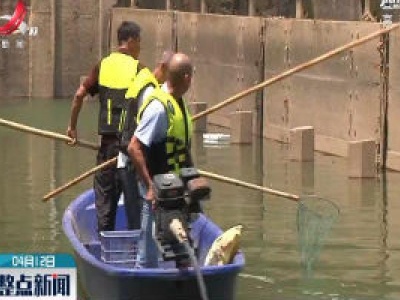 赣州：实施河长制 治出靓丽水生态