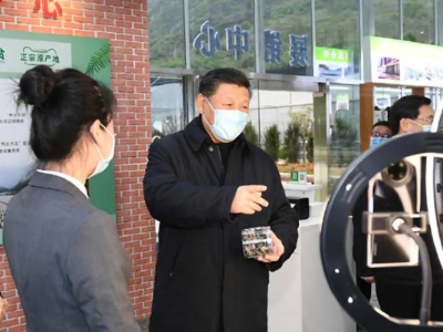 习近平：电商在农副产品销售方面大有可为