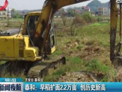 泰和：早稻扩面2.2万亩 创历史新高