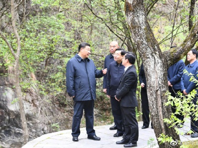 习近平在陕西考察秦岭生态保护情况
