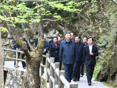 “秦岭违建是一个大教训”，教训在哪？