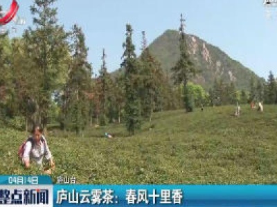 整点新闻20200414 10:00