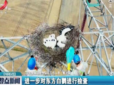 整点新闻20200402 12:00