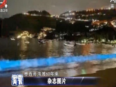 墨西哥荧光海岸线