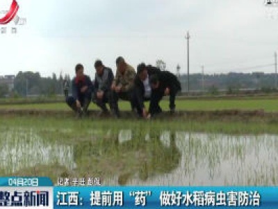 整点新闻20200420 12:00