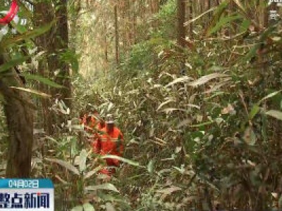 江西：完成人工造林面积86.62万亩