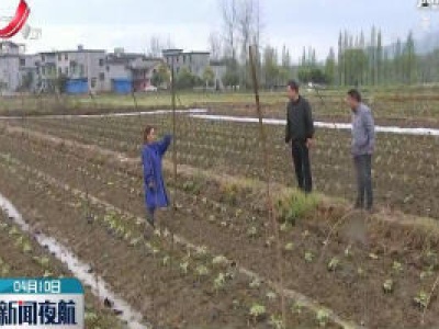 江西将出现大风降温降雨 农业生产需加强防范