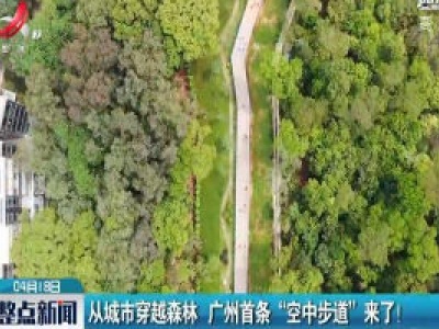 从城市穿越森林 广州首条“空中步道”来了！