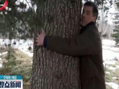 冰岛鼓励抱树缓解社交隔离焦虑