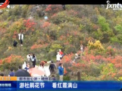【都市放心游】赣州石城：游杜鹃花节 看红霞满山