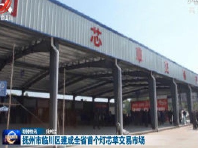 抚州市临川区建成全省首个灯芯草交易市场 