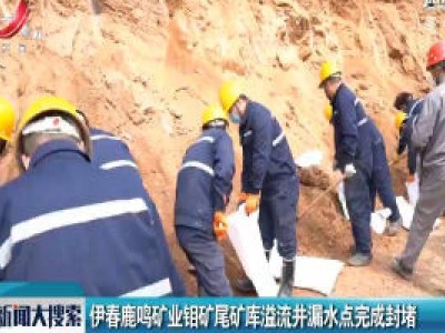 伊春鹿鸣矿业钼矿尾矿库溢流井漏水点完成封堵